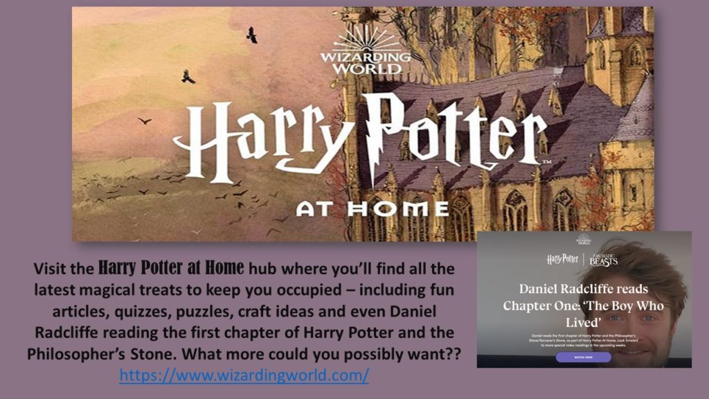 Harry Potter At Home