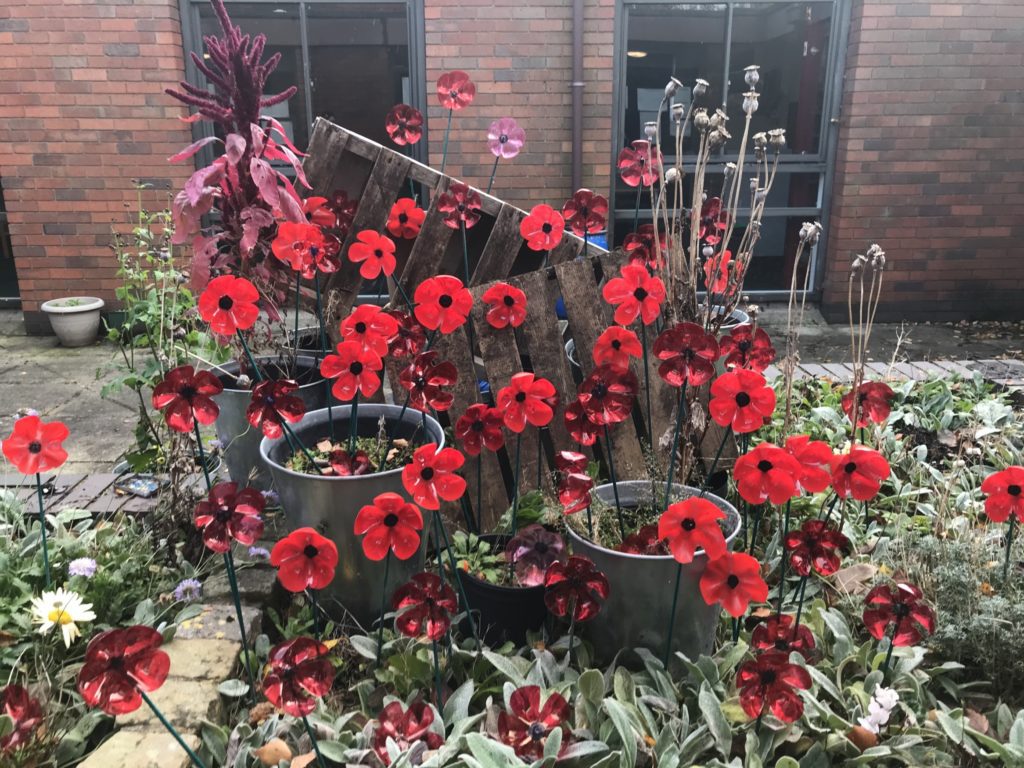 Poppies 2